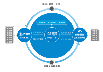 農(nóng)業(yè)項(xiàng)目快速推廣策略 教育咨詢驅(qū)動(dòng)的創(chuàng)新路徑
