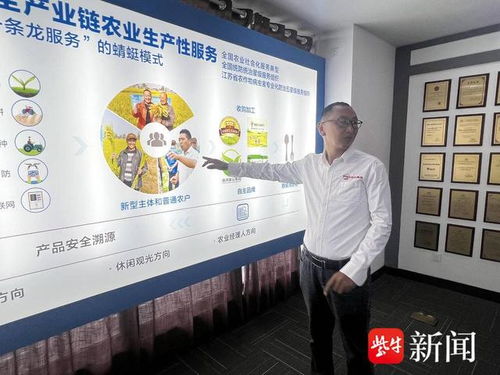 數智養豬場 AI管家全天候守護，教育咨詢開啟智能養殖新篇章